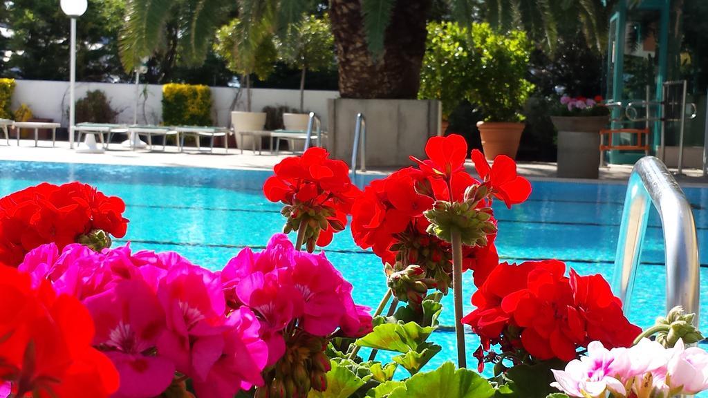 Hotel Cormoran Cattolica Bagian luar foto